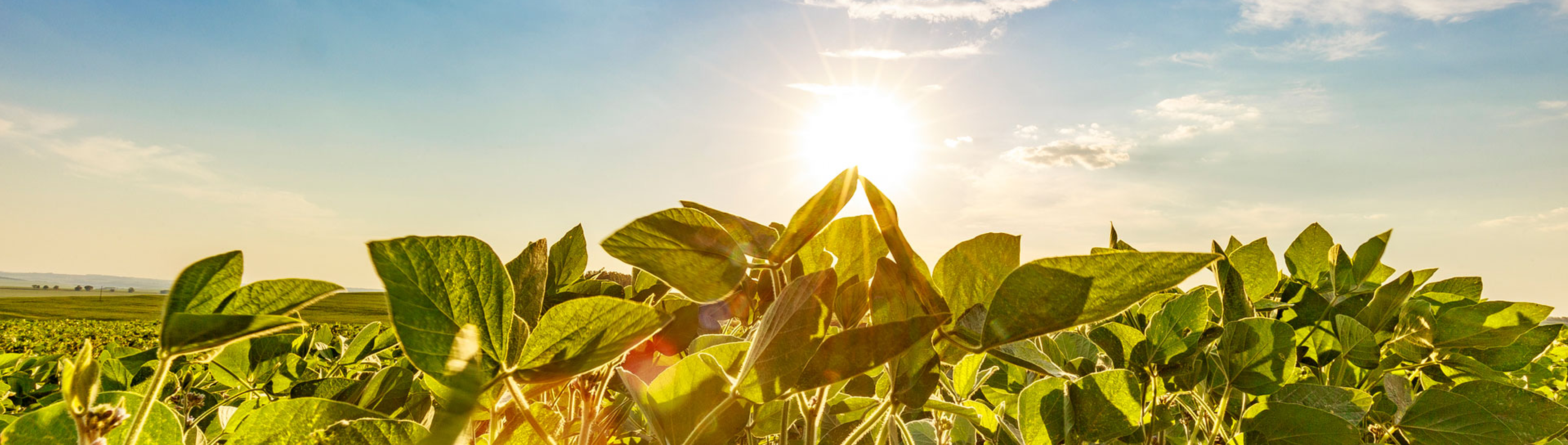 Faça parte da equipe Faça parte da equipe
