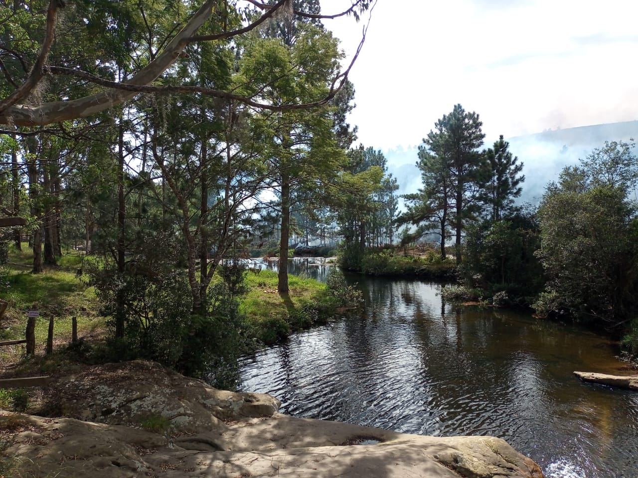 Imagem_do_WhatsApp_de_2024-06-17_as_10.49.26_48f97972 Imagem_do_WhatsApp_de_2024-06-17_as_10.49.26_48f97972