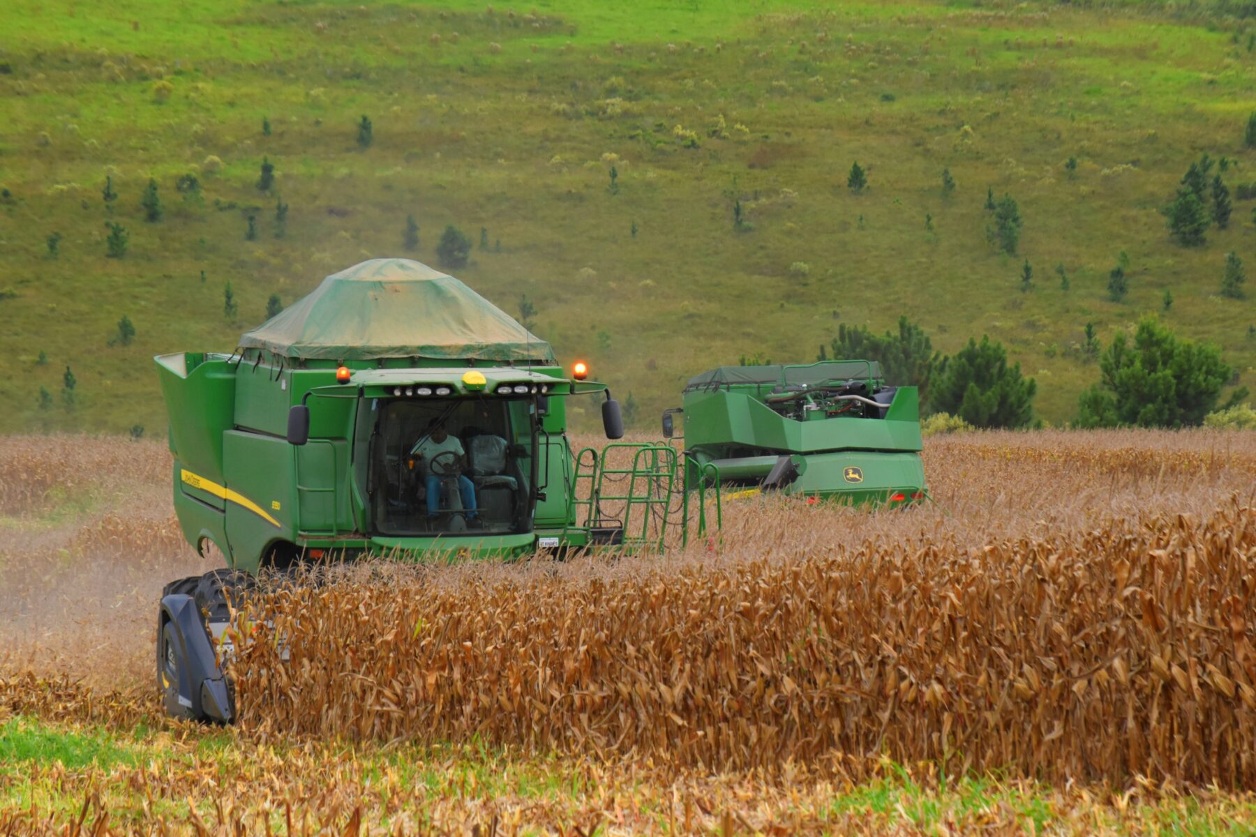 WhatsApp Image 2024-07-24 at 10.26.18 WhatsApp Image 2024-07-24 at 10.26.18