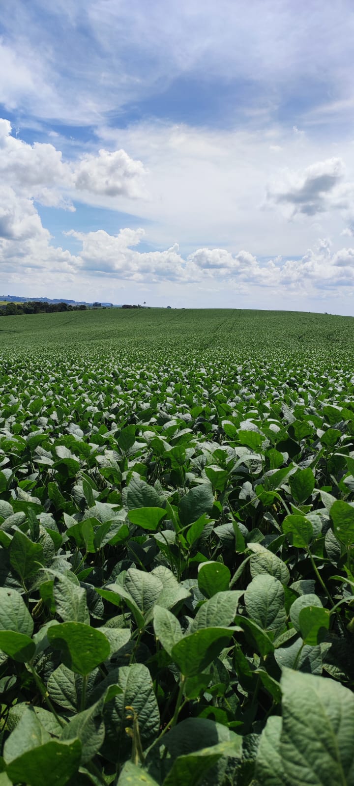 WhatsApp Image 2024-08-22 at 15.48.09 (1) WhatsApp Image 2024-08-22 at 15.48.09 (1)